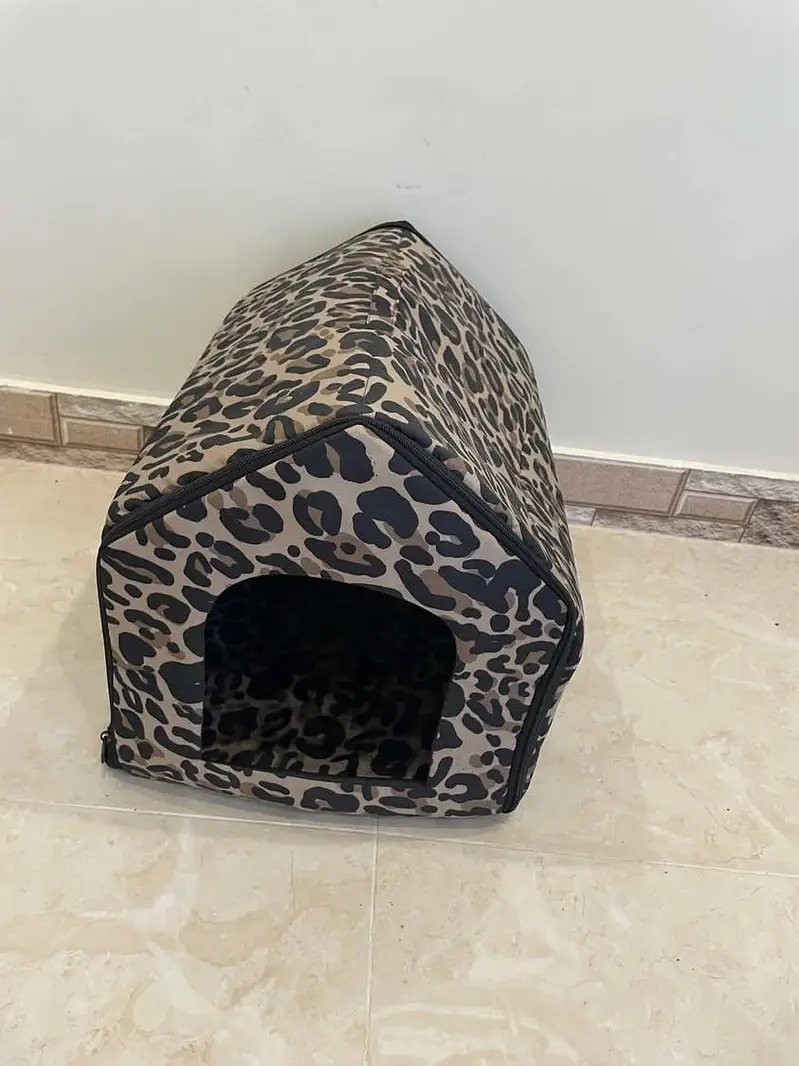 9 weeks old persian kitten with all nessecities — photo 8