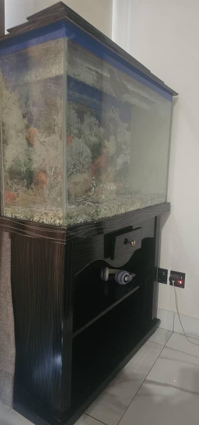 fish ecoriam