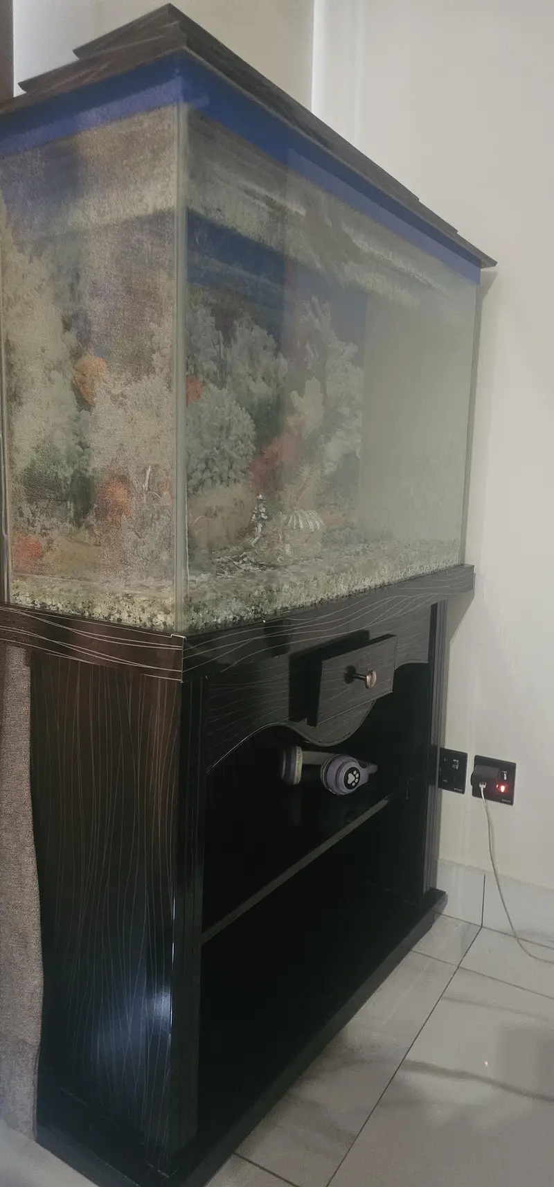 fish ecoriam