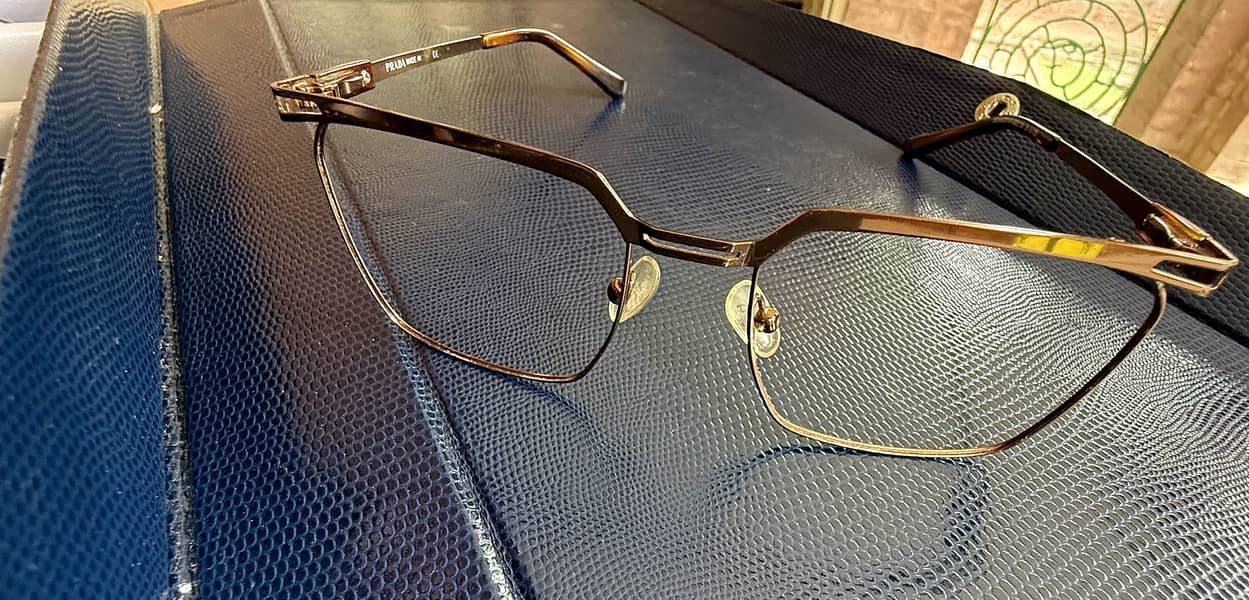 Branded frames came from abroad 6