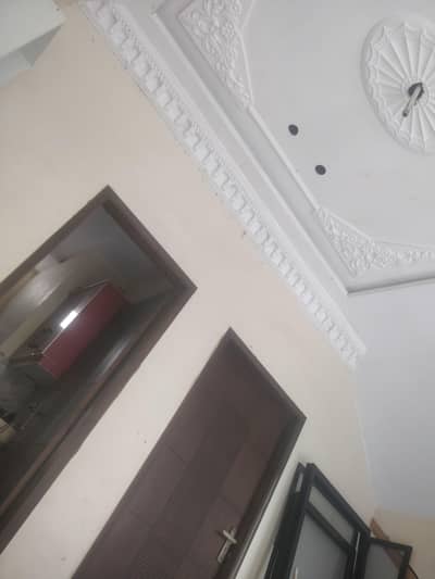 Luxury House Paint