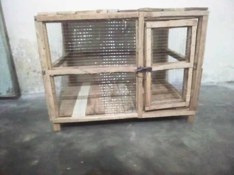 hen cage — photo 2