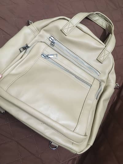 Hand carry and bag pack  combined
