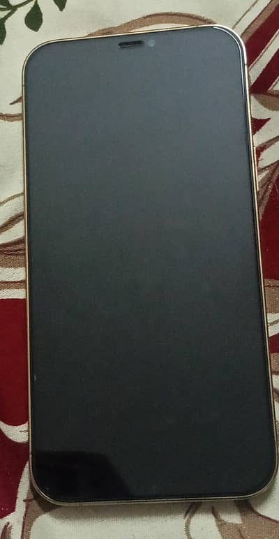 Apple iPhone 12 Pro Max