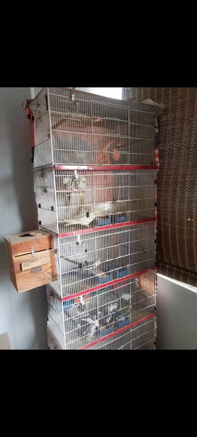 Cage 5th floor