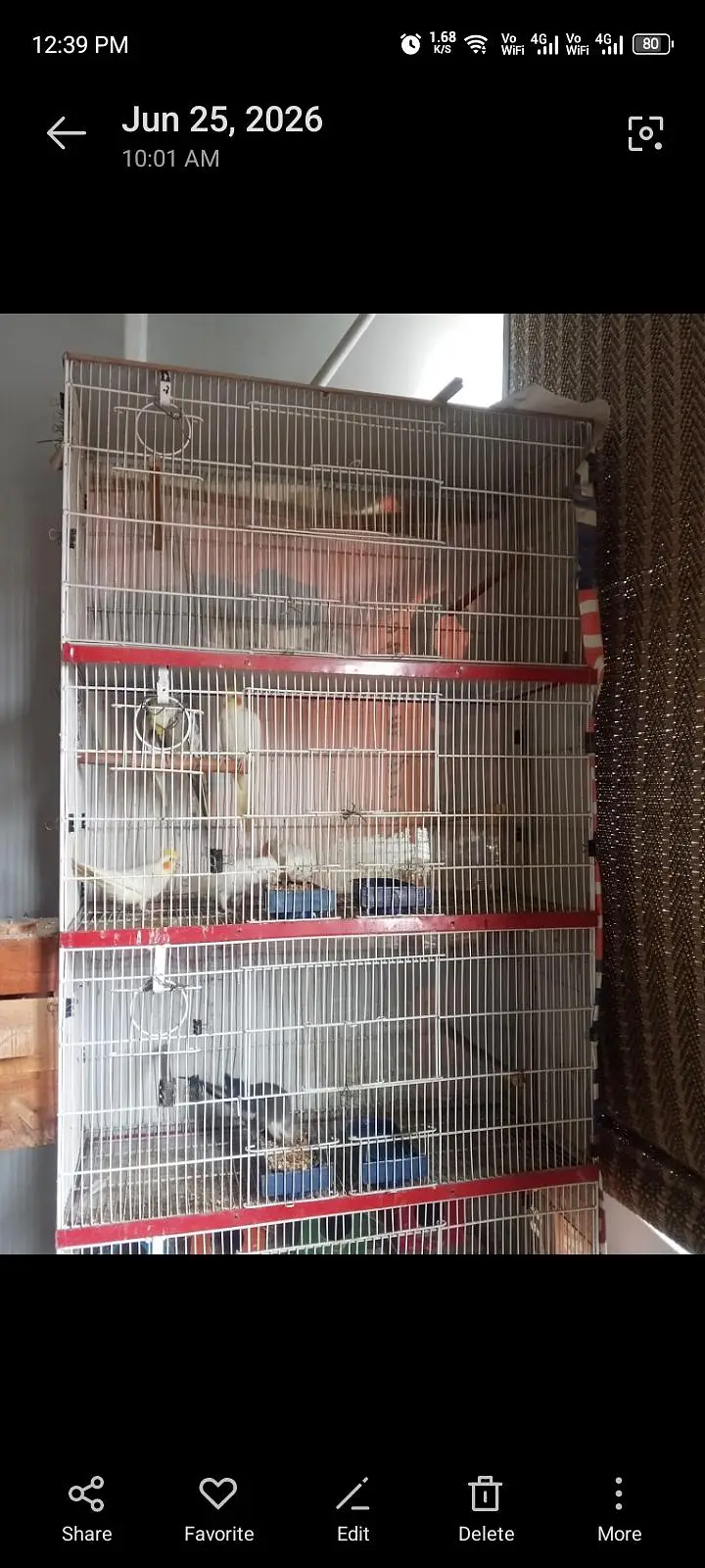 Cage 5th floor — photo 2