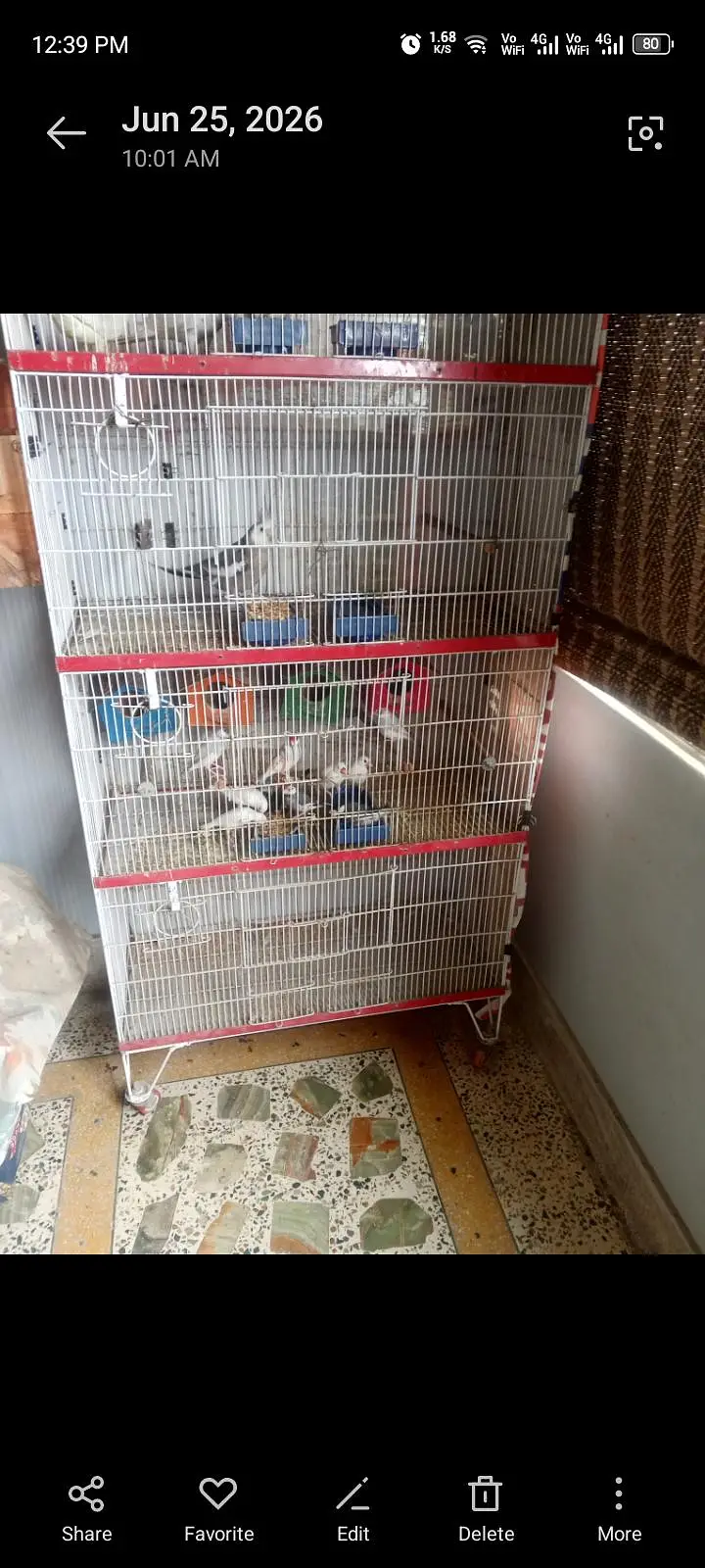 Cage 5th floor — photo 3