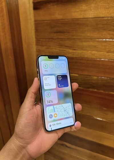 Apple iPhone 13 Pro Max