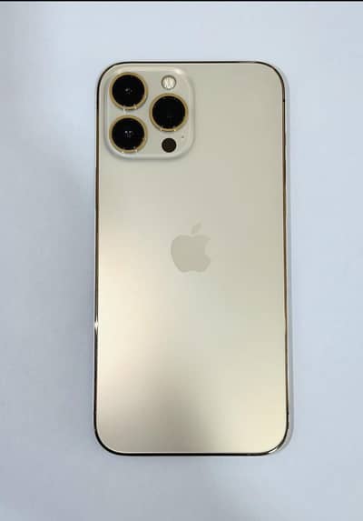Apple iPhone 13 Pro Max