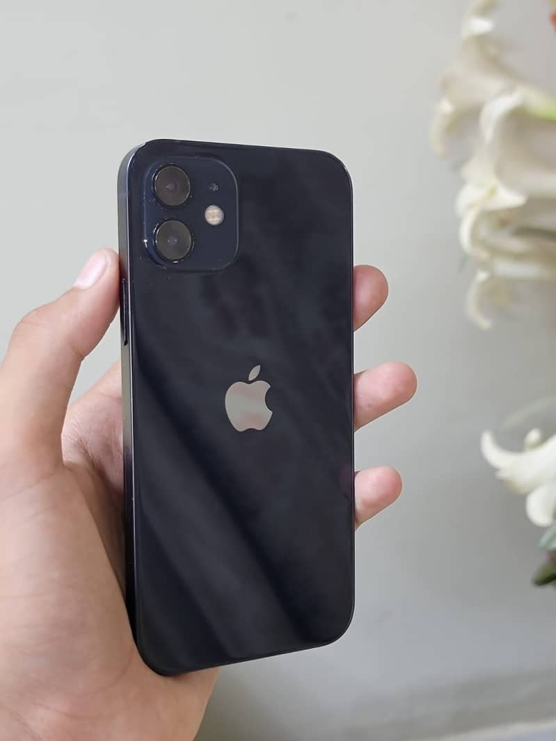 Apple iPhone 12 6