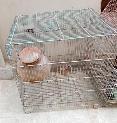 Parrot cage
