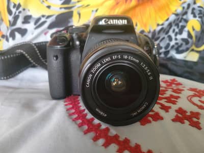 600d canon DSLR camera