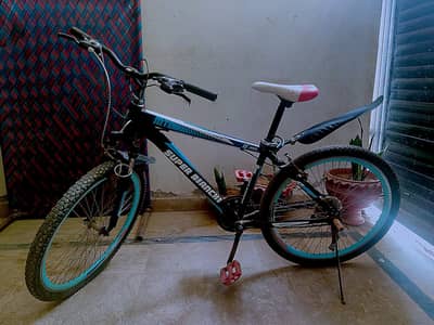 Bicycle For Sale