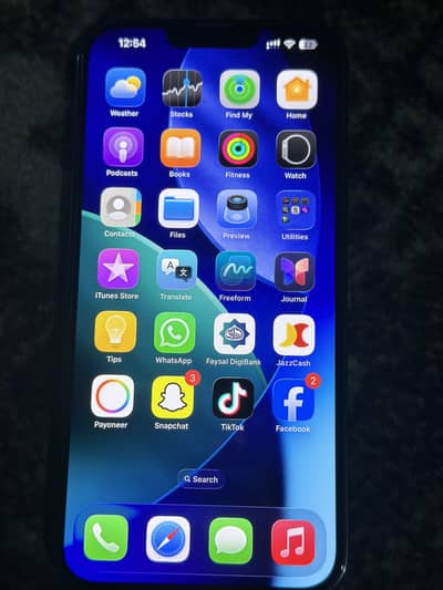 Apple iPhone 13 Pro Max