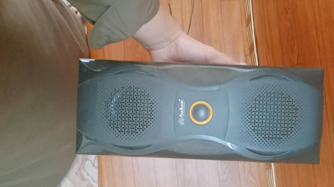 Audionic flex (F600) 2