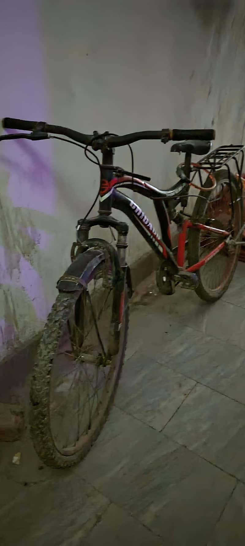 cycle 2
