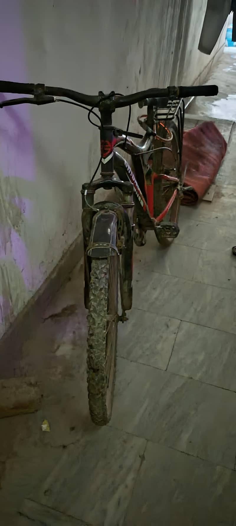 cycle 3