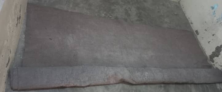 Carpet