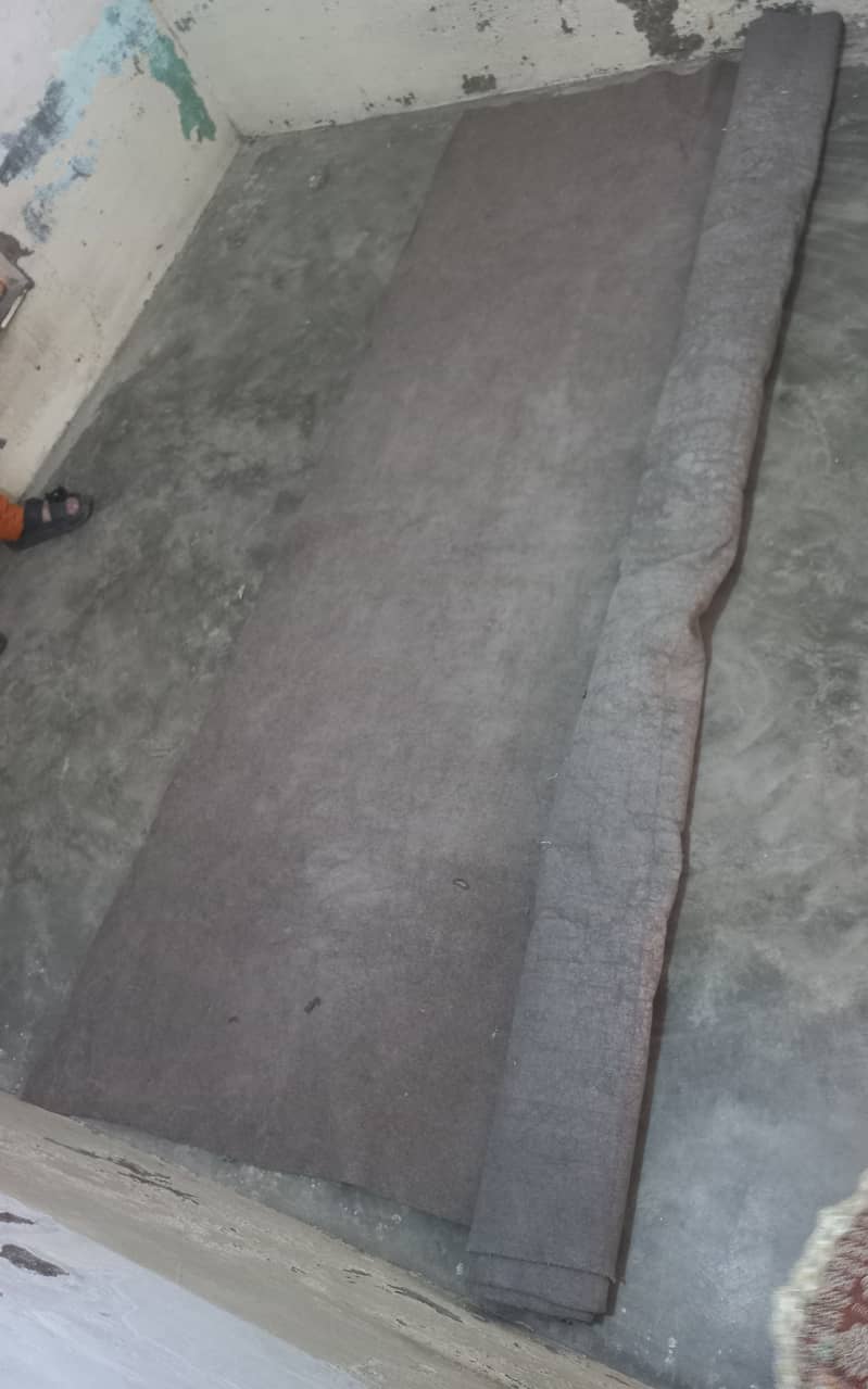 Carpet 1