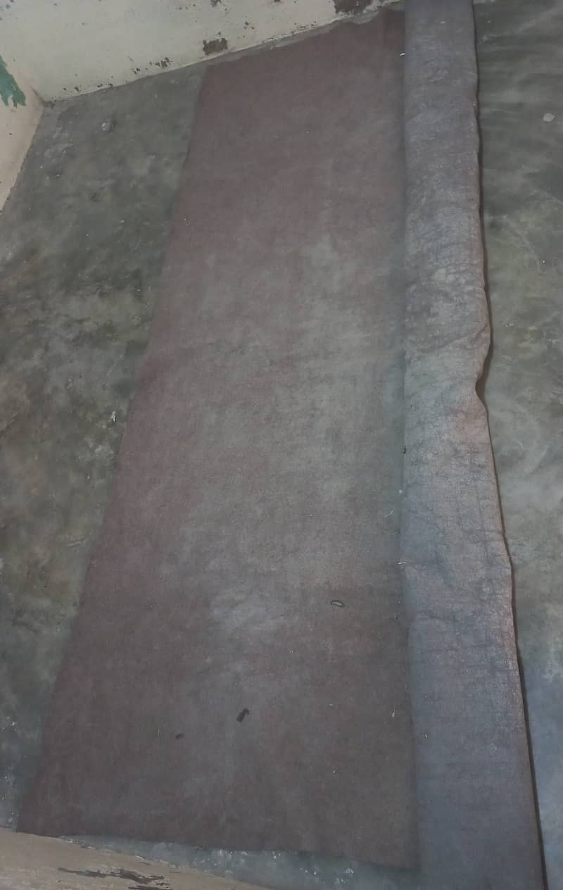Carpet 2