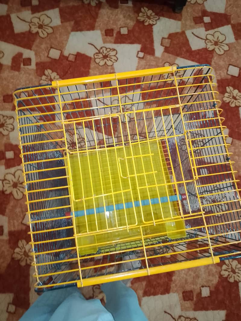 Raw cage 0