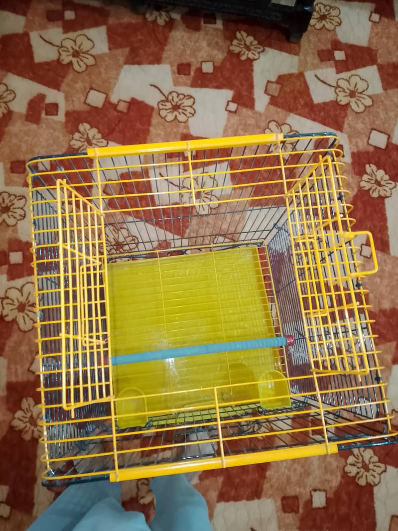 Raw cage 1