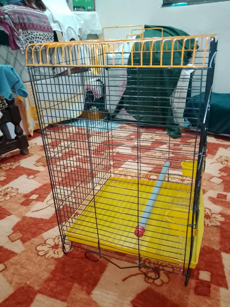 Raw cage 2