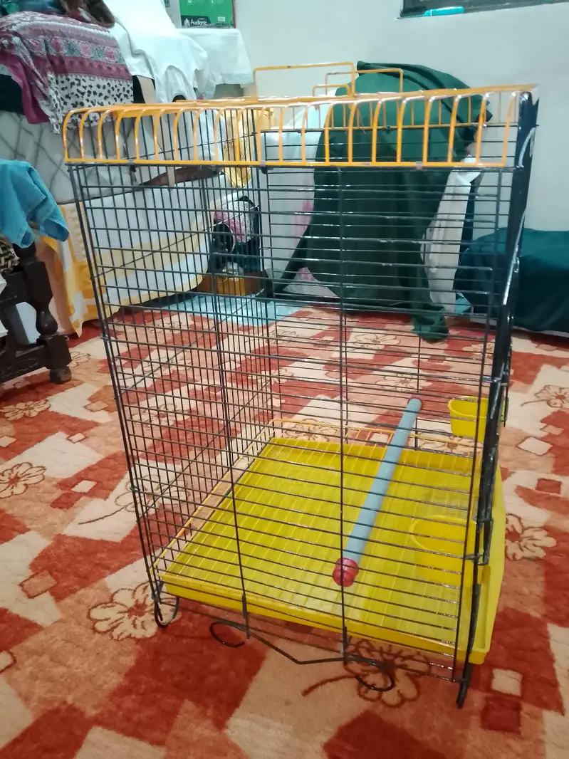 Raw cage — photo 3