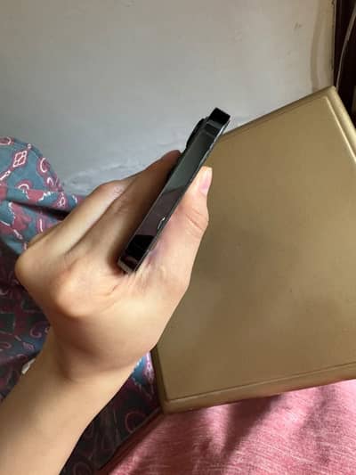 Apple iPhone 12 Pro Max