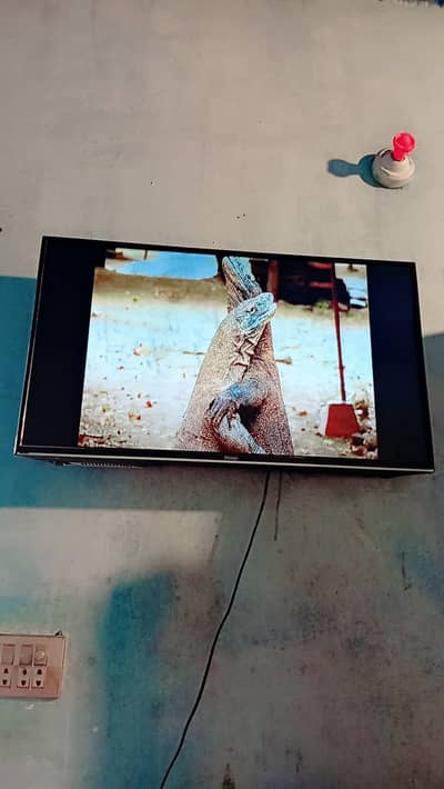 Haier LED for sale