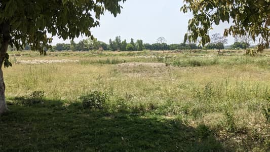 Luxury 1 Kanal Plot for Sale | DHA Phase 8 Ivy Green Sector Z | Prime Investment Opportunity