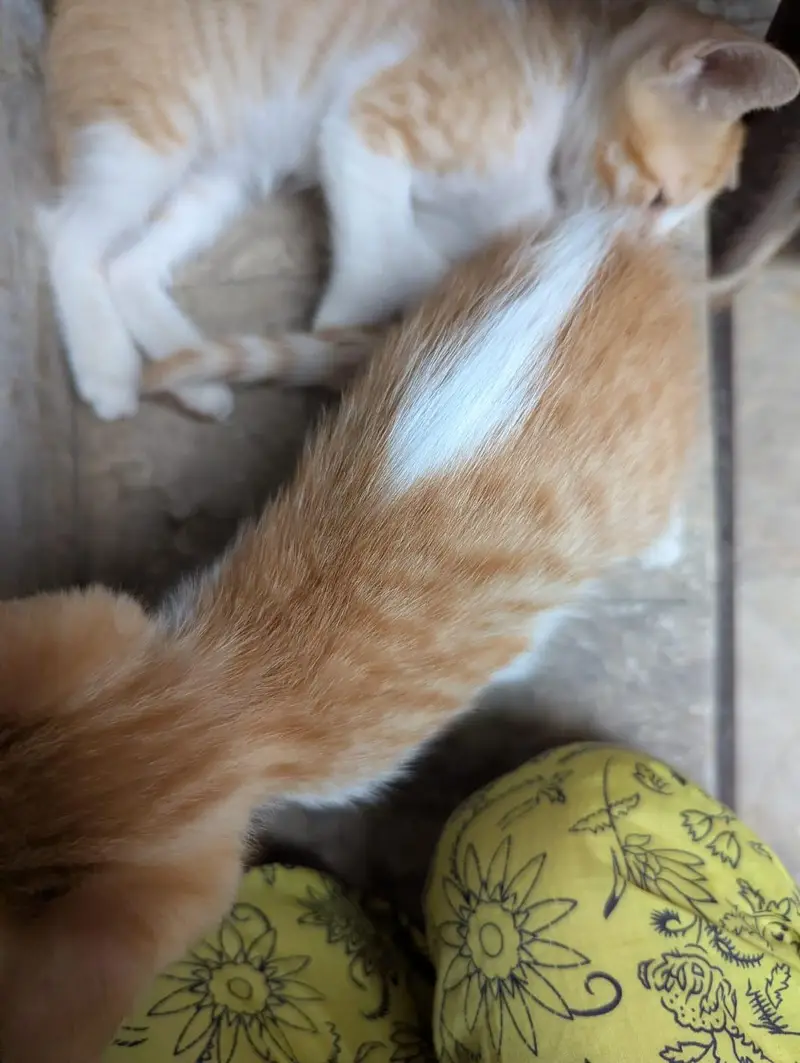 cuteness overload — photo 2