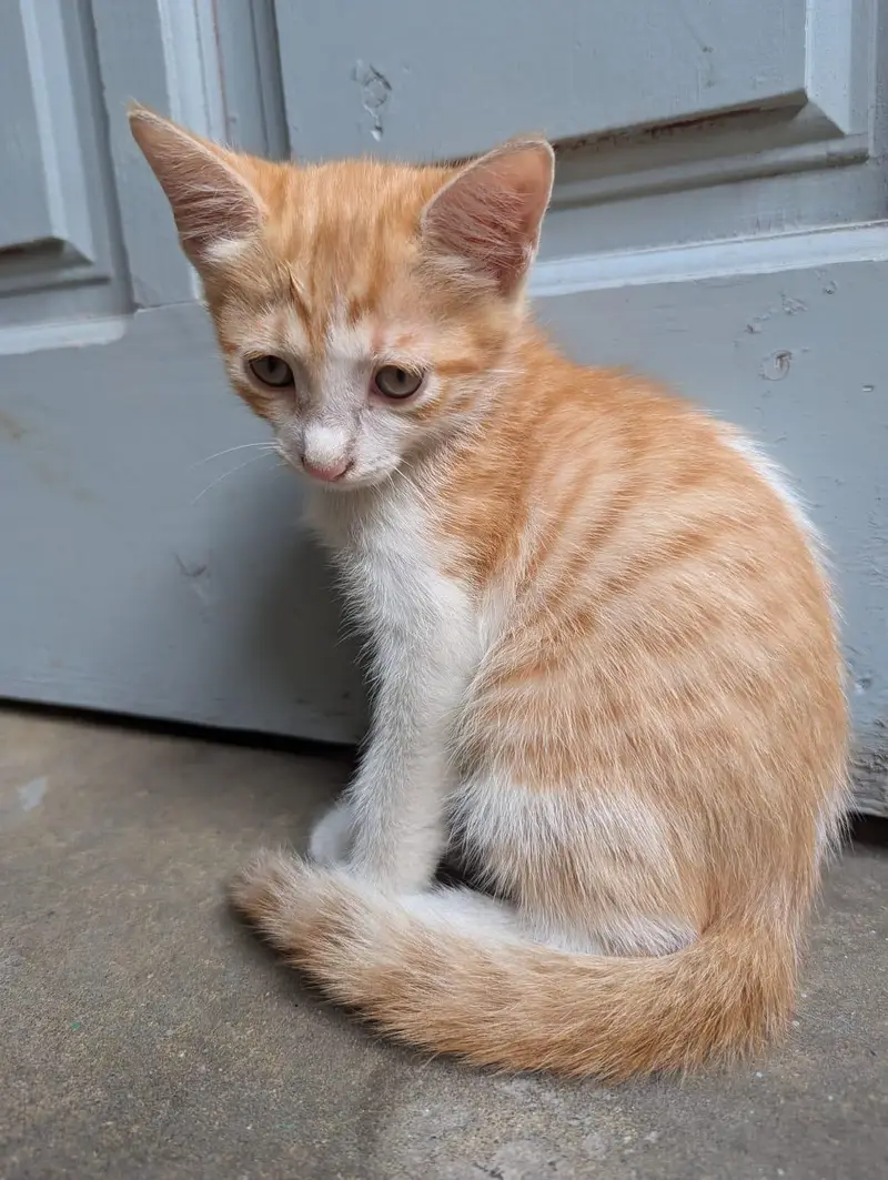 cuteness overload — photo 3