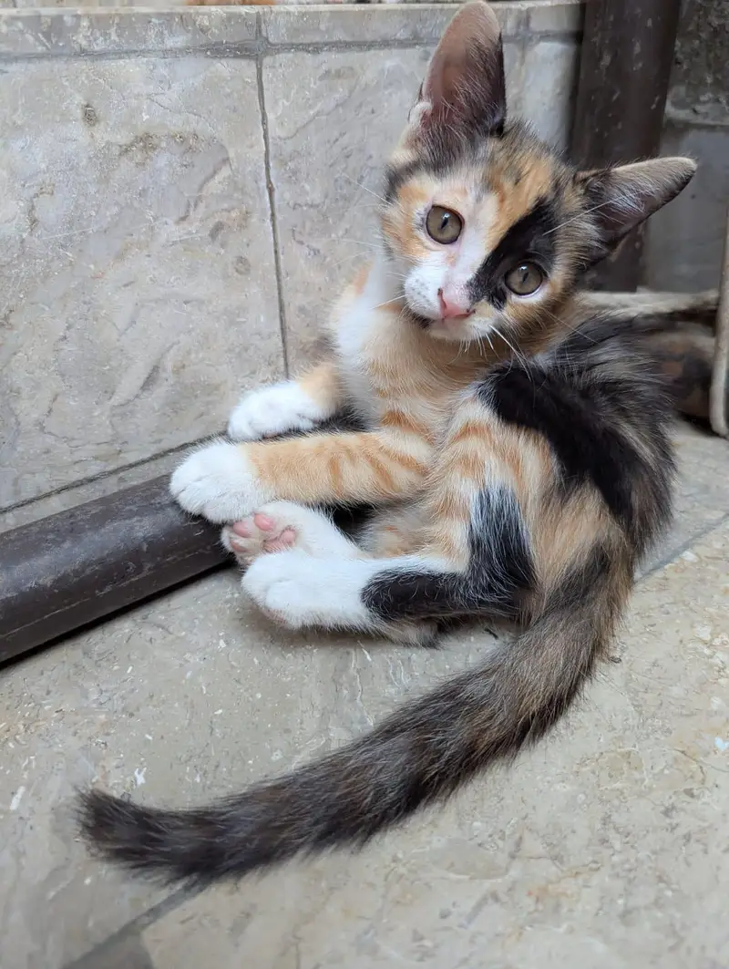 cuteness overload — photo 7