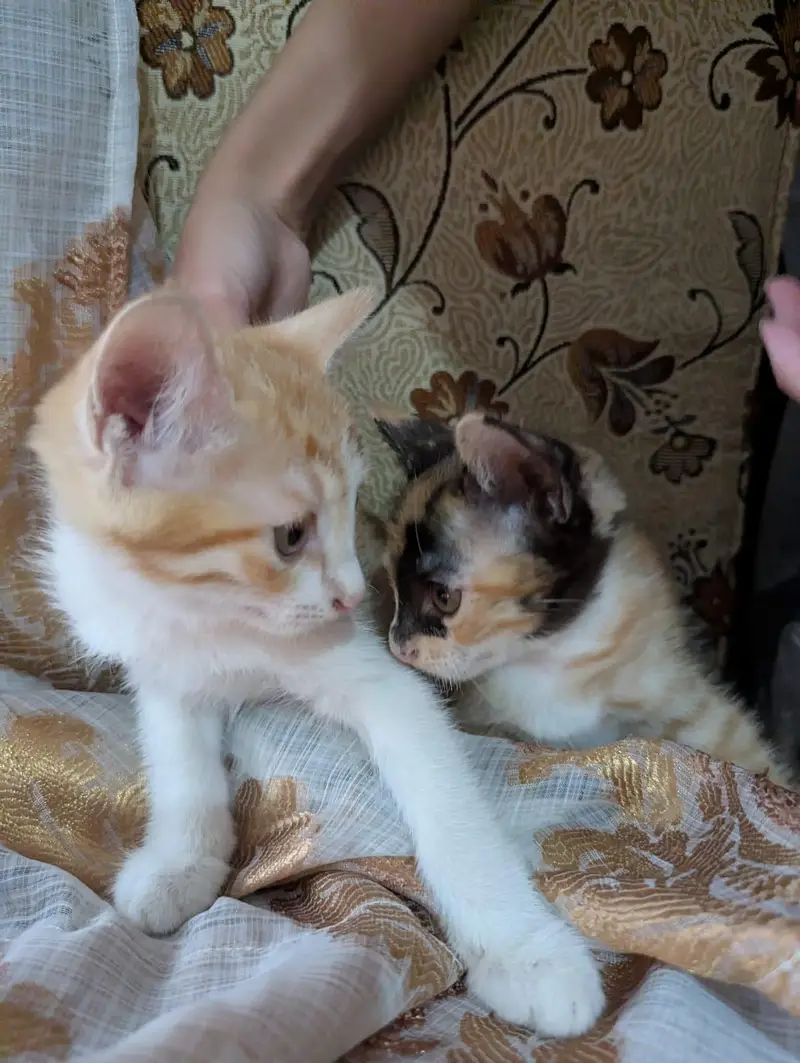 cuteness overload — photo 8