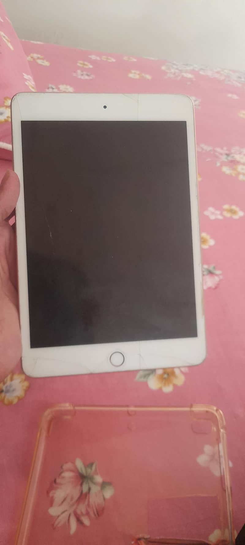 ipad mini 5 0