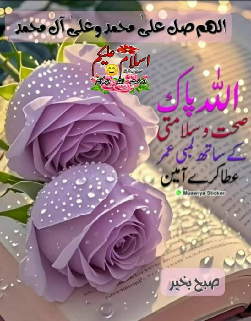 سبزی کے کام کے لیے سبزی بیچنے والے بندے کی ضرورت ہے 1