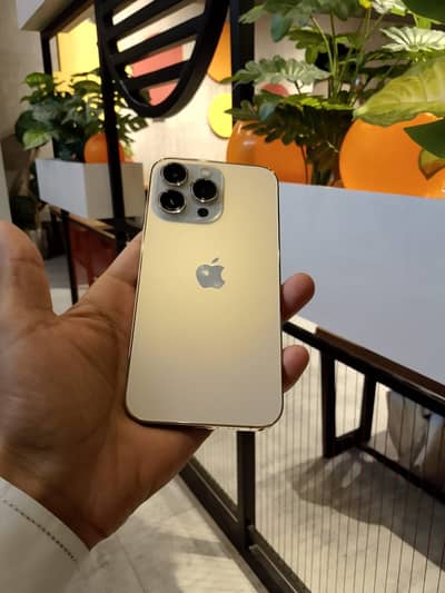 Apple iPhone 13 Pro