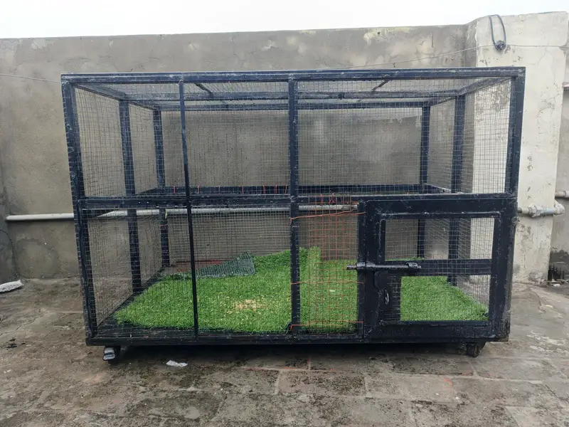 Iron Cage for hens,cat,parrots — photo 3
