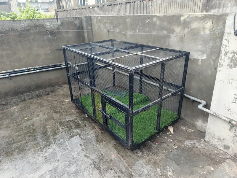 Iron Cage for hens,cat,parrots — photo 5