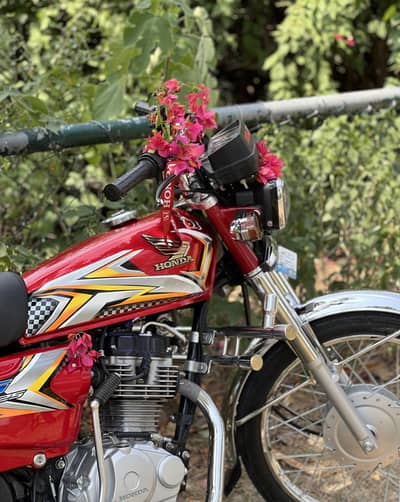 Honda cg 125 2025 model for sale