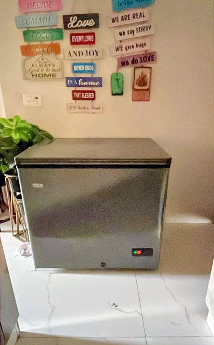 d freezer 1