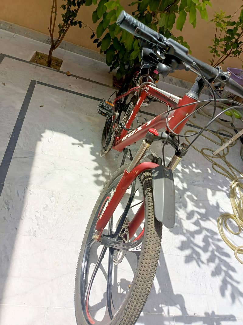 imported bicycle 3