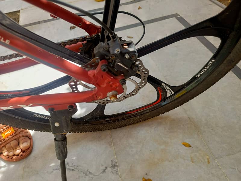imported bicycle 4