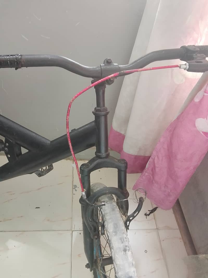 Cycle 2