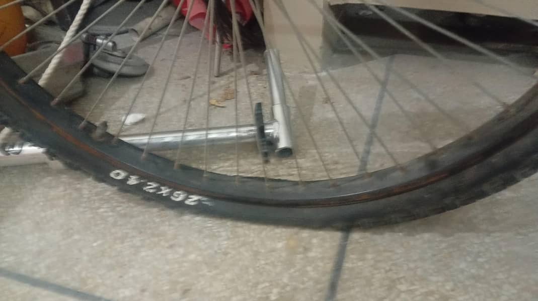 Cycle 1