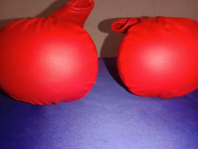 Boxing gloves