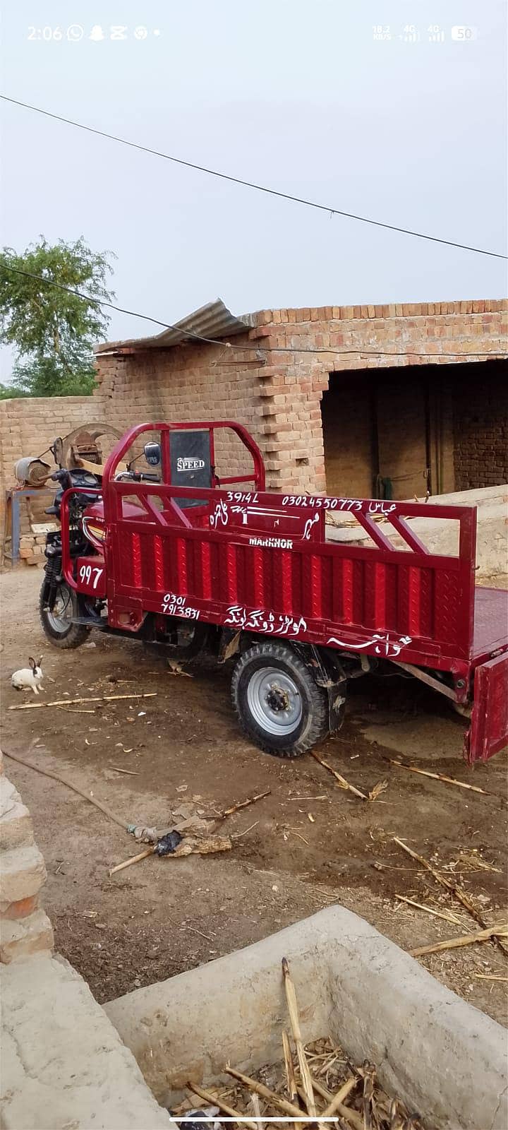 loader rickshaw 6