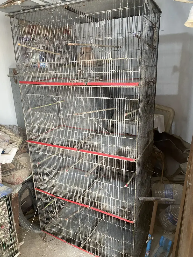8 portion cage in very good condition — photo 2