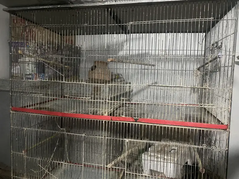 8 portion cage in very good condition — photo 5